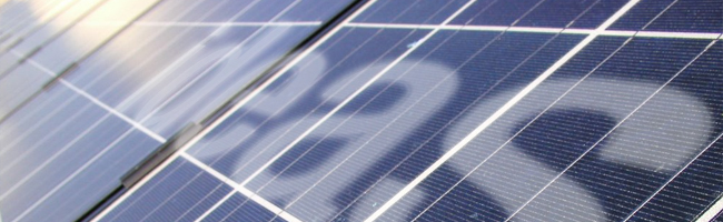 Cultivating Creativity